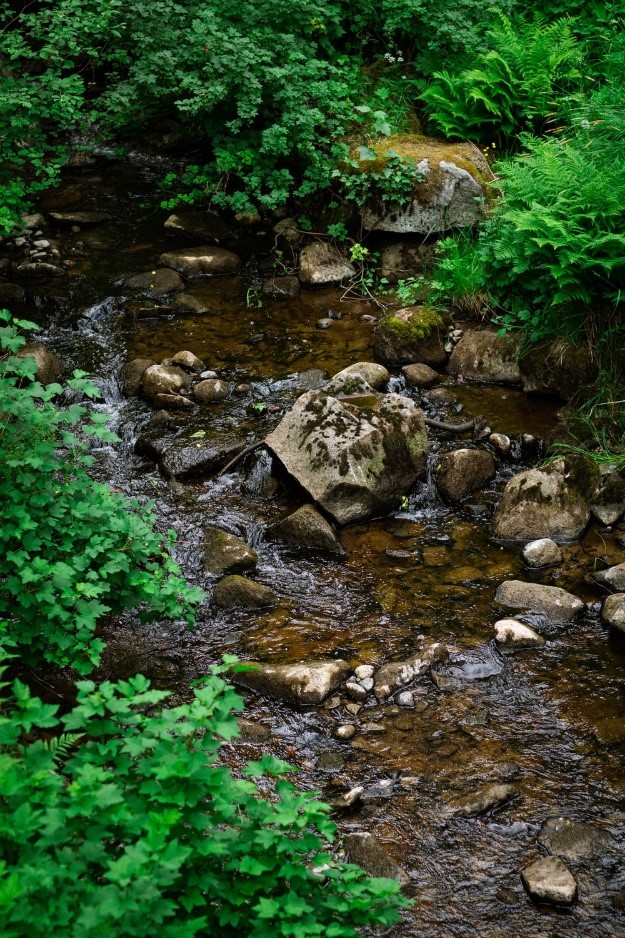 Rocks in a river