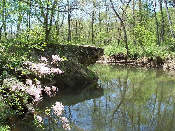 A river in Hollow Rock Nature Park