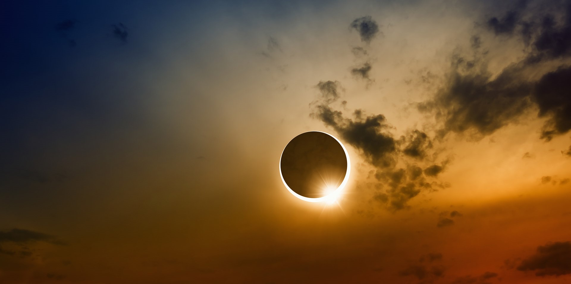 Solar Eclipse, photographed by Tobin Freid