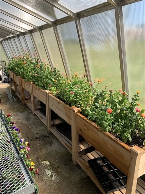 Greenhouse with flowers growing.